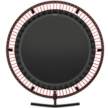 Load image into Gallery viewer, bellicon 49", red
