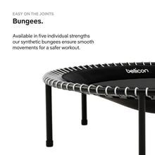 Load image into Gallery viewer, bellicon 44", grey
