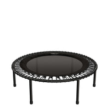 Load image into Gallery viewer, bellicon 44", screw-on legs
