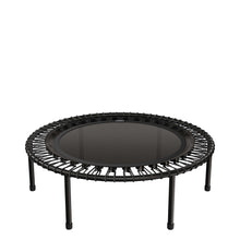 Load image into Gallery viewer, bellicon 44", screw-on legs
